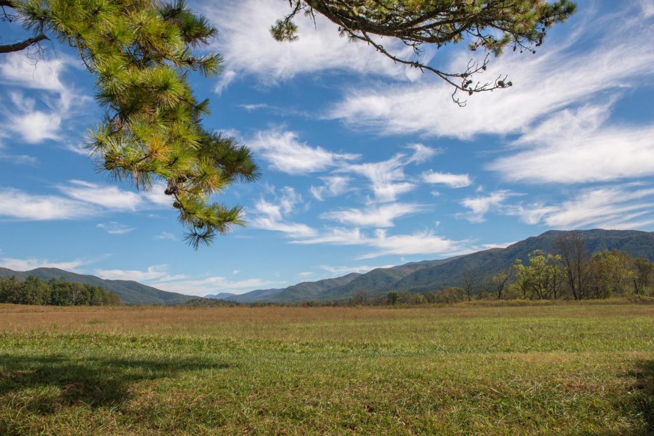 Thunder Bear Villa Pigeon Forge Esterno foto